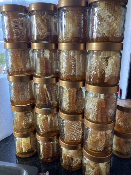 Wabenstücke -honig im Glas 300g